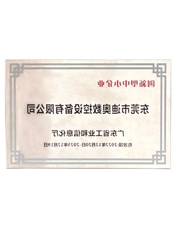 创新型中小型企业