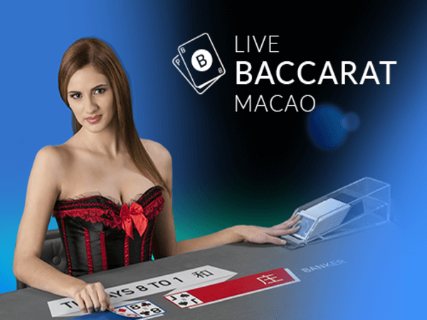 taya 365 casino login