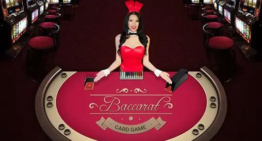 betso casino